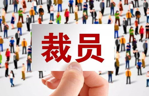 技術(shù)壁壘與商業(yè)抉擇 當(dāng)自主權(quán)遭遇全球市場(chǎng)